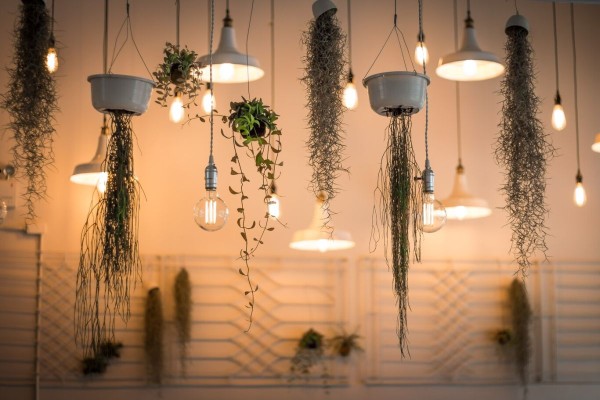 Lámparas con plantas
