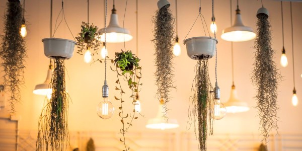 Lámparas con plantas