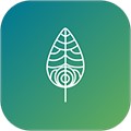 顷松APP