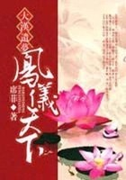 大汉遗梦 :凤仪天下在线阅读