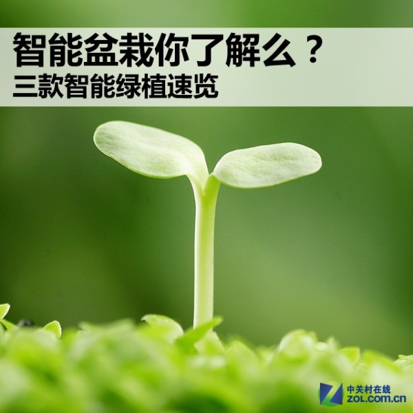 智能盆栽你了解么？三款智能绿植速览 