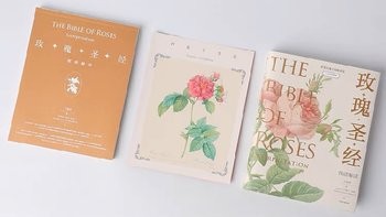 经典好书分享，玫瑰圣经