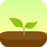 Forest专注森林