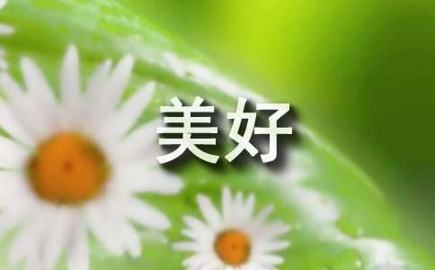 科技让生活更美好作文500字六年级（精选36篇）