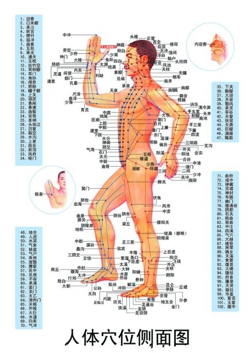 养生补肾生精功