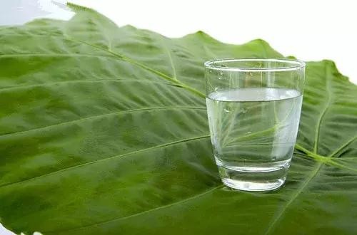 60条超级有用的美容秘籍，美女是养出来的哦！