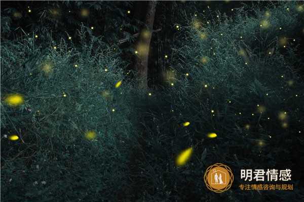 恋爱的方法,如何正确的谈恋爱