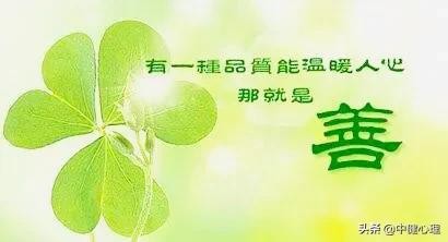 美好生活的十二条法则