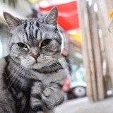 花钱好心痛