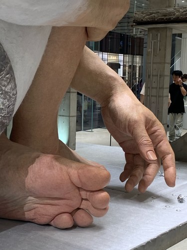 巨人展不用预约了！！！人也不多
