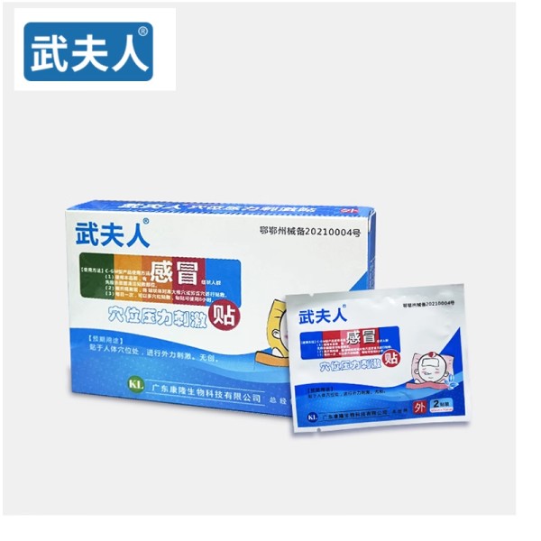 【武夫人】成人小儿医用感冒贴10贴