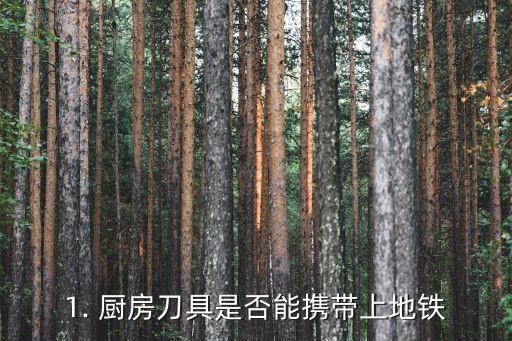 1. 厨房刀具是否能携带上地铁