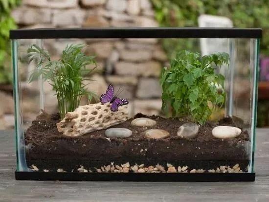 8种用金鱼缸DIY的盆栽景观，养出室内盆景迷你植物园