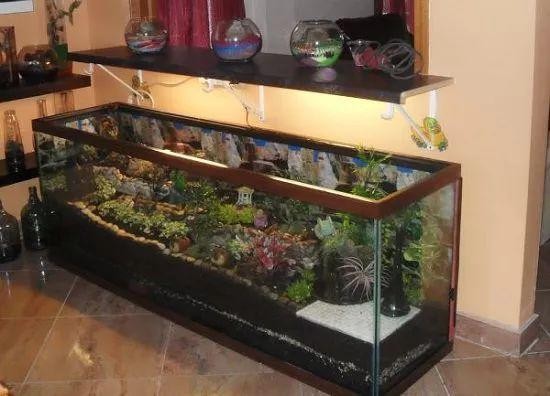 8种用金鱼缸DIY的盆栽景观，养出室内盆景迷你植物园