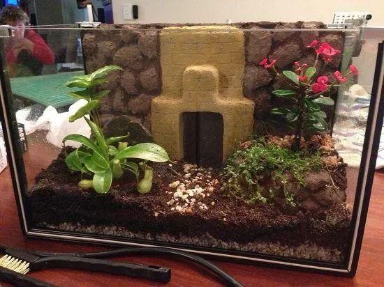 8种用金鱼缸DIY的盆栽景观，养出室内盆景迷你植物园