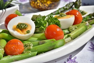 多元化餐饮品牌，打造全方位的美食体验