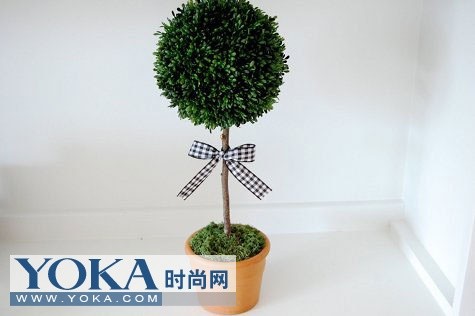 绿色植物DIY春色小物品