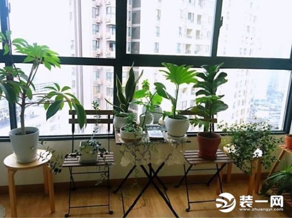 绿植设计图片