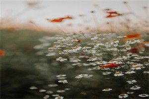 个人每日生活计划表（汇总12篇）