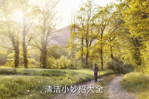 清洁小妙招大全