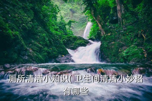 厕所清洁小知识( 卫生间清洁小妙招有哪些