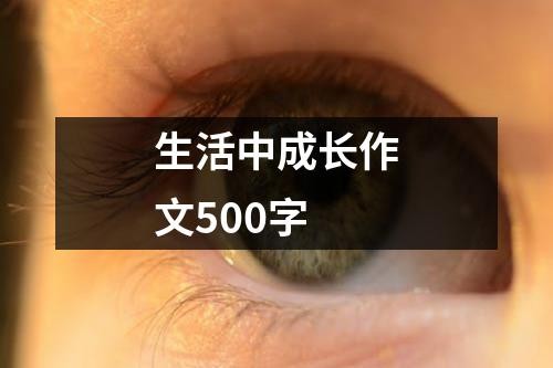 生活中成长作文500字
