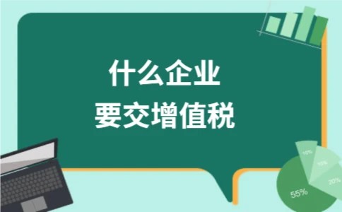 什么企业要交增值税