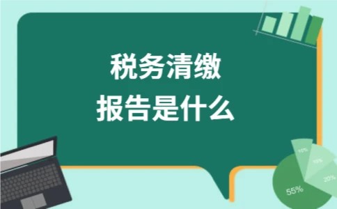 税务清缴报告是什么