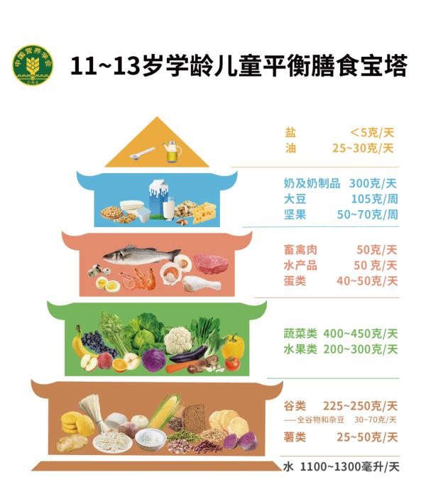 最新版学龄儿童膳食指南来了！建议家长收藏