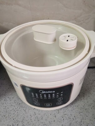 美的(Midea)电炖锅 电炖盅 煲汤锅炖汤锅 电砂锅 家用煮粥神器 婴儿辅食锅 微压快炖MD-DGE3001晒单图