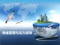 情绪管理与压力疏导