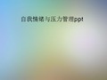 自我情绪与压力管理