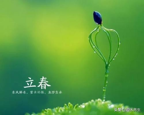 今日立春，24节气养生法：立春开始的15天饮食起居6大调养原则