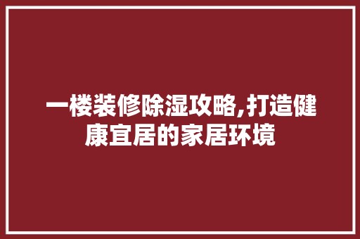 一楼装修除湿攻略,打造健康宜居的家居环境 客厅