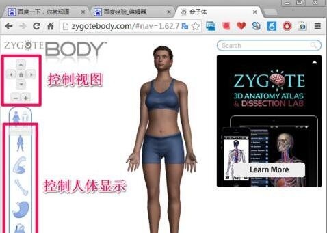 谷歌发布全新免费软件，引领数字生活新潮流