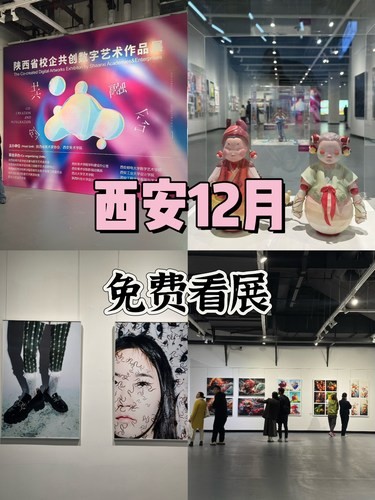 西安免费看展丨大茂城也有新展啦