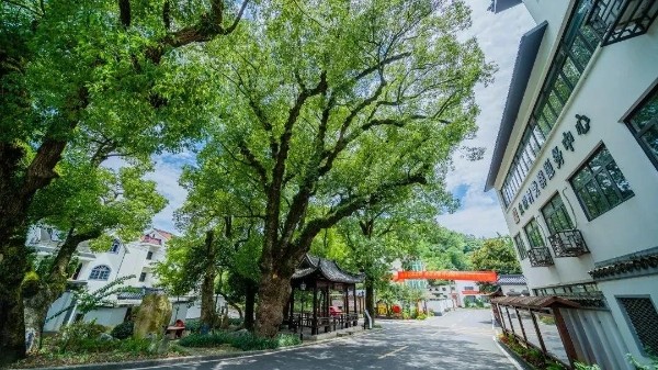 共同富裕 健康先行丨杭州9个社区入选全国示范性老年友好型社区！