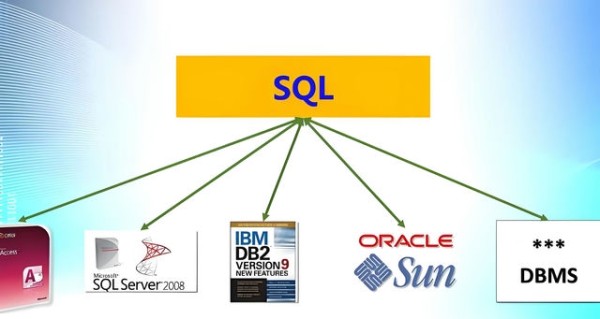SQL到底叫什么？揭开数据库背后的命名秘密与发展历程