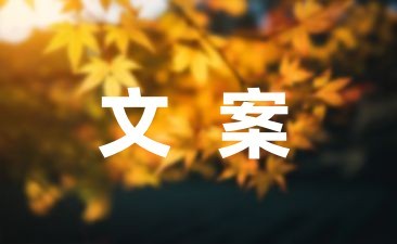 婚后的生活忙碌而充实的文案摘录四十条