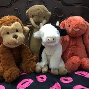 我们都爱Jellycat