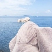 毛绒玩具也有生命