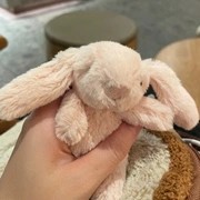 戒断jellycat互助组