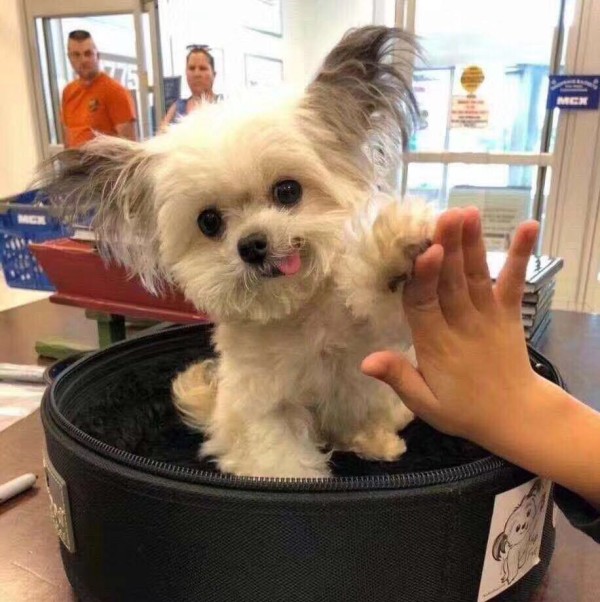 晨钟暮鼓