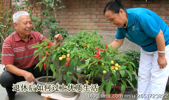 退休后如何过上优质生活