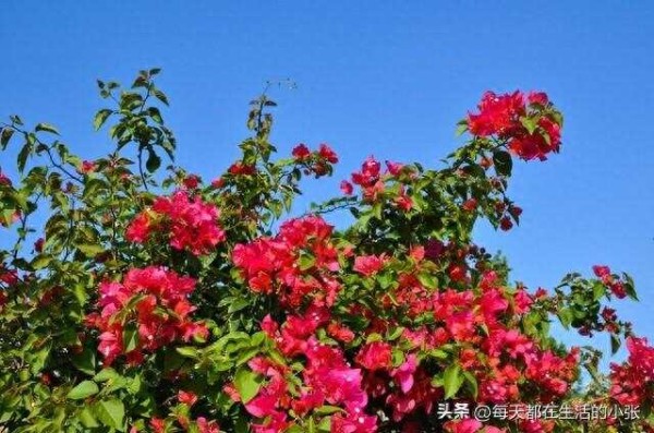 保持快乐的九个习惯