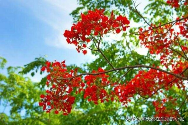 保持快乐的九个习惯