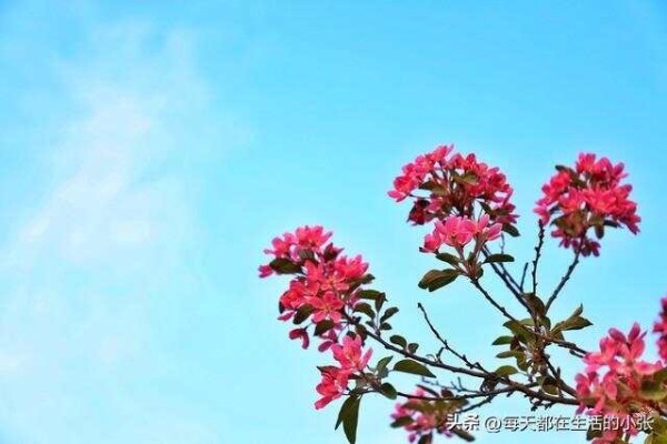 保持快乐的九个习惯