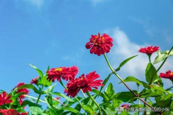 保持快乐的九个习惯