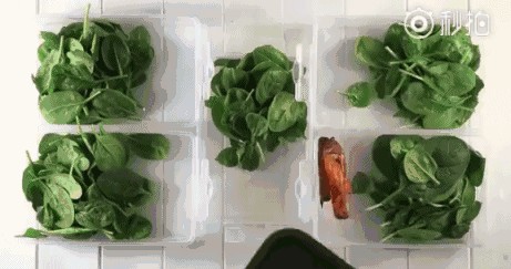 健身餐制作