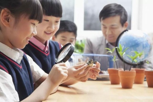 对玩具总是喜新厌旧怎么办？教你4个小妙招，轻松教育这种孩子